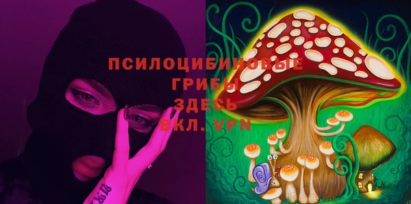 марихуана Абаза