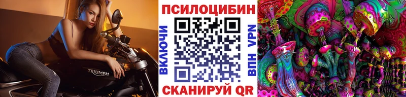 Псилоцибиновые грибы GOLDEN TEACHER  Череповец 